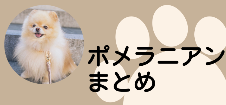 もふもふポメちゃん